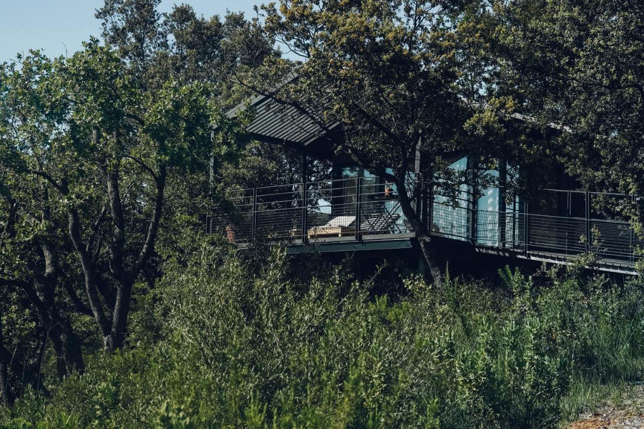 Domaine Monte Verdi 플레이오스크 외부 사진