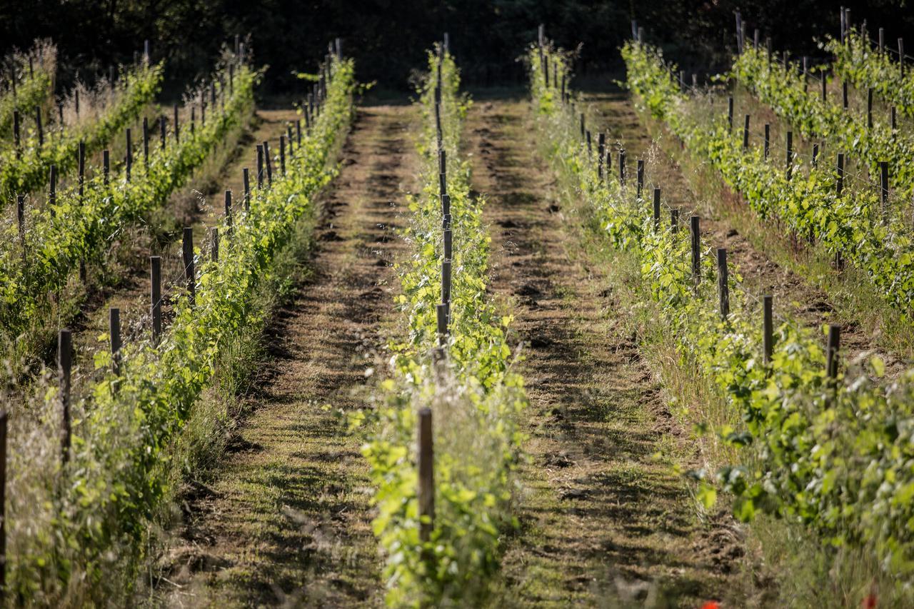 Domaine Monte Verdi 플레이오스크 외부 사진